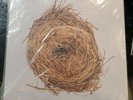 NEW / WILCO A Ghost Is Born Record LP rare oop