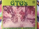 GTO’s Permanent Damage lp play tested Promo Zappa Read Description