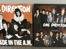 ONE DIRECTION (2-Vinyl LP Lot)  Made In The A.M. / Four