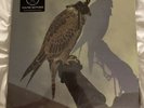 BRAND NEW ICEAGE - You're Nothing LP SEALED  2013 matador OP  Hard To find