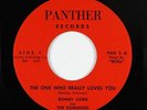 Northern Soul 45 - Ronny Lowe - The One Who Really Loves You - Panther VG++ mp3