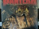 PANTERA The Great Southern Trendkill VG++ WHITE & ORANGE VINYL EXCLUSIVE HYPE