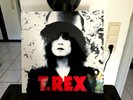 T.REX  THE SLIDER  Vinyl  2010 US Gatefold  Fat Possum Records  MINT Marc Bolan