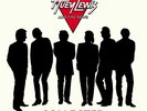 Huey Lewis and The News Collected 180G  Gatefold Vinyl LP Record