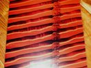 Peter Gabriel SCRATCH MY BACK 2010 200g Red Translucent Vinyl: Open (but) NEW