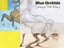 Blue Orchids - Speed the Day - LP Vinyl - PRESALE