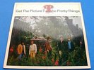 PRETTY THINGS 