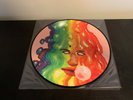 Black Moth Super Rainbow - Dandelion Gum Picture Disc Vinyl LP