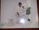Al Green - I'm Still In Love With You LP - Hi Excellent To Near Mint NM