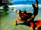 The Prodigy - The Fat Of The Land (2xLP Vinyl)