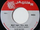 BLUES BUSTERS What Can I Tell Her / Instrumental US Jaguar 7
