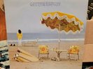 NEIL YOUNG On The Beach Vinyl Record LP 1974 rock folk country *hole in cover