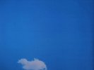 THE PLASTIC ONO BAND - Live Peace In Toronto 1969 w/ Calendar (Vinyl LP, 2015)