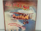 JOE WALSH - THE SMOKER YOU DRINK, THE PLAYER YOU GET - MCA