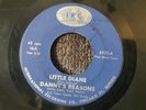 DANNY'S REASONS Little Diane / Believe Me 45 RECORD RARE GARAGE ROCK
