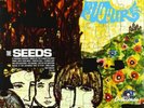 SEEDS-FUTURE (US IMPORT) VINYL LP NEW