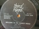 ANIMAL MAGNET WELCOME TO THE MONKEY HOUSE 1981 RARE BLACK LABELS 12