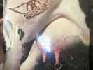 Aerosmith Get a grip Vinyl Record Limited In Shrink Black/white 2 Lp Excellent