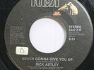 Rock 45 Rick Astley - Never Gonna Give You Up / Never Gonna Give You Up On Rca