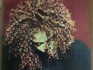 Janet Jackson - The Velvet Rope 2019 Reissue Black Vinyl 2xLP * LP Like New