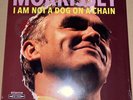 MORRISSEY  NOT A DOG ON A CHAIN   CLEAR RED VINYL LP  NEW SEALED  SMITHS
