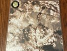Forget by Twin Shadow (Vinyl, 2010, Terrible, Signed)