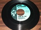 Vintage 45 RPM surf garage rock AQUANAUTS Swim All Day/Highdivin 1960s Sande 104