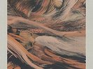 MYTHIC SUNSHIP-WILDFIRE VINYL LP NEW