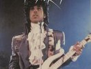 Prince 12