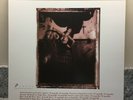 Pixies ?– Surfer Rosa (2009) Mobile Fidelity Sound Lab ?– MFSL 1-296 vinyl 180g