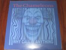 THE CHAMELEONS - WHY CALL IT ANYTHING - SPECIAL EDITION / DOUBLE LP - NEW