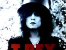 T. Rex - The Slider FRA LP 1972 + Innerbag (VG/VG+) .