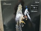 The Courteeners LP Falcon sealed on White Vinyl Record