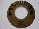 FLORA ADAMS Fire Fire FLAMES Reggae 7