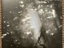 YEAH YEAH YEAHS Is Is 2x 7” Vinyl EP Polydor Dress Up 1741099 2007 RARE CLEAN
