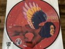 David Bowie - The Man Who Sold The World, Picture Disc, Vinyl LP, RSD 2016, New