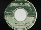 Roots Reggae 45 - Cornell Campbell - Natural Facts - Trojan Jamaica - mp3