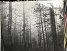 The Cure - A Forest Vinyl A* Rare