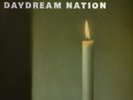 SONIC YOUTH Daydream Nation NEW Sealed 4xLP Vinyl Album Box Set + FREE SHIPPING