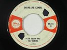 Ska 45 - Peter Touch & Wailers (Peter Tosh) - Shame And Scandal - Island UK mp3