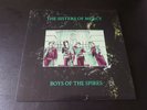 the Sisters Of Mercy - boys of the spires  --  lp - coloured - 3
