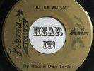 Killer Raw Blues R&B Rocker 45 HOUND DOG TAYLOR Alley Music /Christine FIRMA mp3