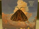 CHAIRLIFT - Moth - Vinyl - **NEAR MINT** - RARE