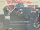 THE 2 LIVE CREW-IS WHAT WE ARE-ORIGINAL 1986 LUKE SKYYWALKER VINYL-PROMO COPY