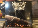 SHADOW OF INTENT - PRIMORDIAL 2x LP (GREY VINYL) NEW/SEALED - RARE