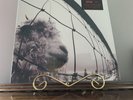 Pearl Jam VS 180g GATEFOLD Remastered EPIC/LEGACY New Sealed Vinyl Record LP