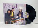 LOS TEMERARIOS LP RECORD CREO QUE  VOY A LLORAR 1990 EX CONDITION NO SCRATCHES
