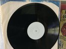 The M3T3ORS vinyl LP mint- The Meteors in heaven white label