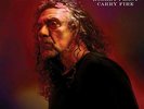 Robert Plant And The Carry Fire vinyl b7399b