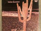 INDIAN SUMMER - S/T -  PROG/PSYCH LP - RCA/NEON  NE 3 (US -1971) - VG+/EX